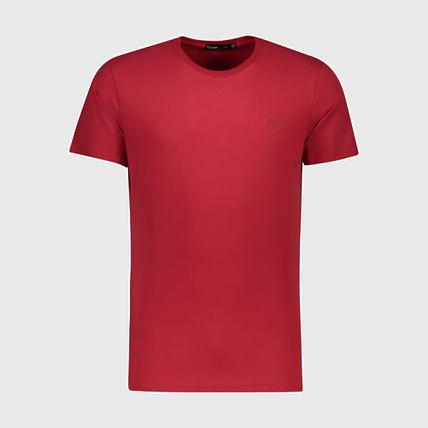 تی شرت مردانه باینت - تصویر 5